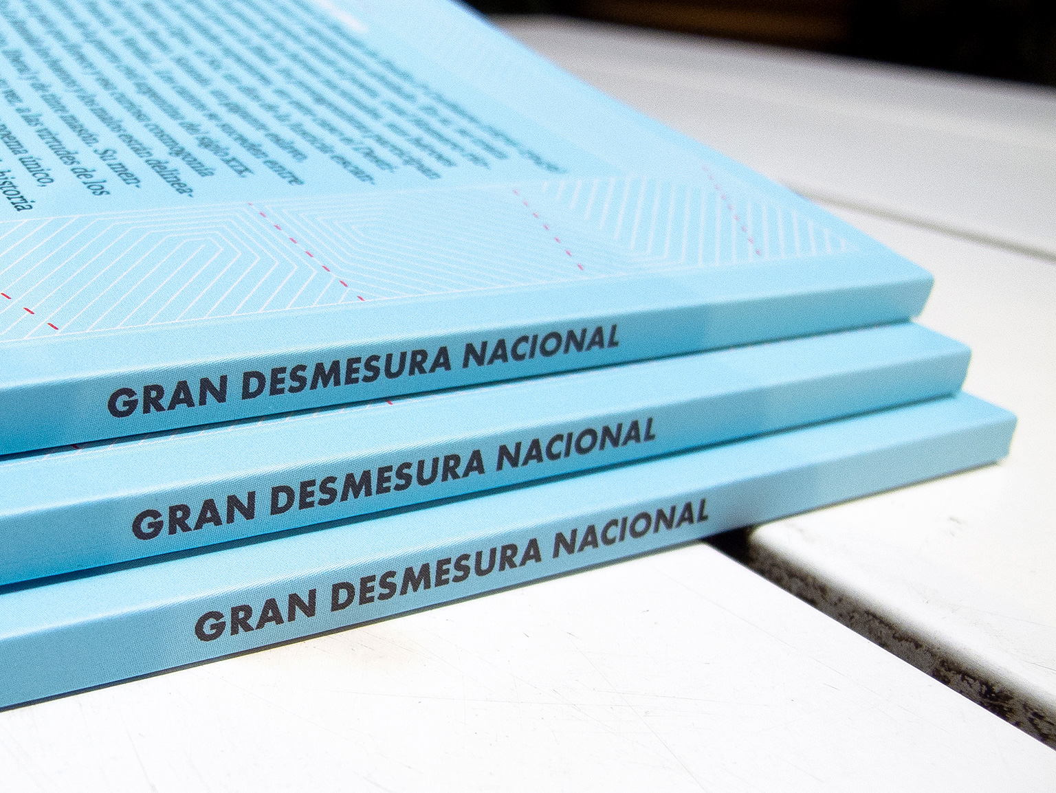Gran Desmesura Nacional is an essay by Vicente Mario di Maggio on the poem La Rozaida by Emilio P. Corbiere